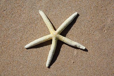 《暗黑破坏神：不朽》全新职业“雾刃”首曝 定档5月23日